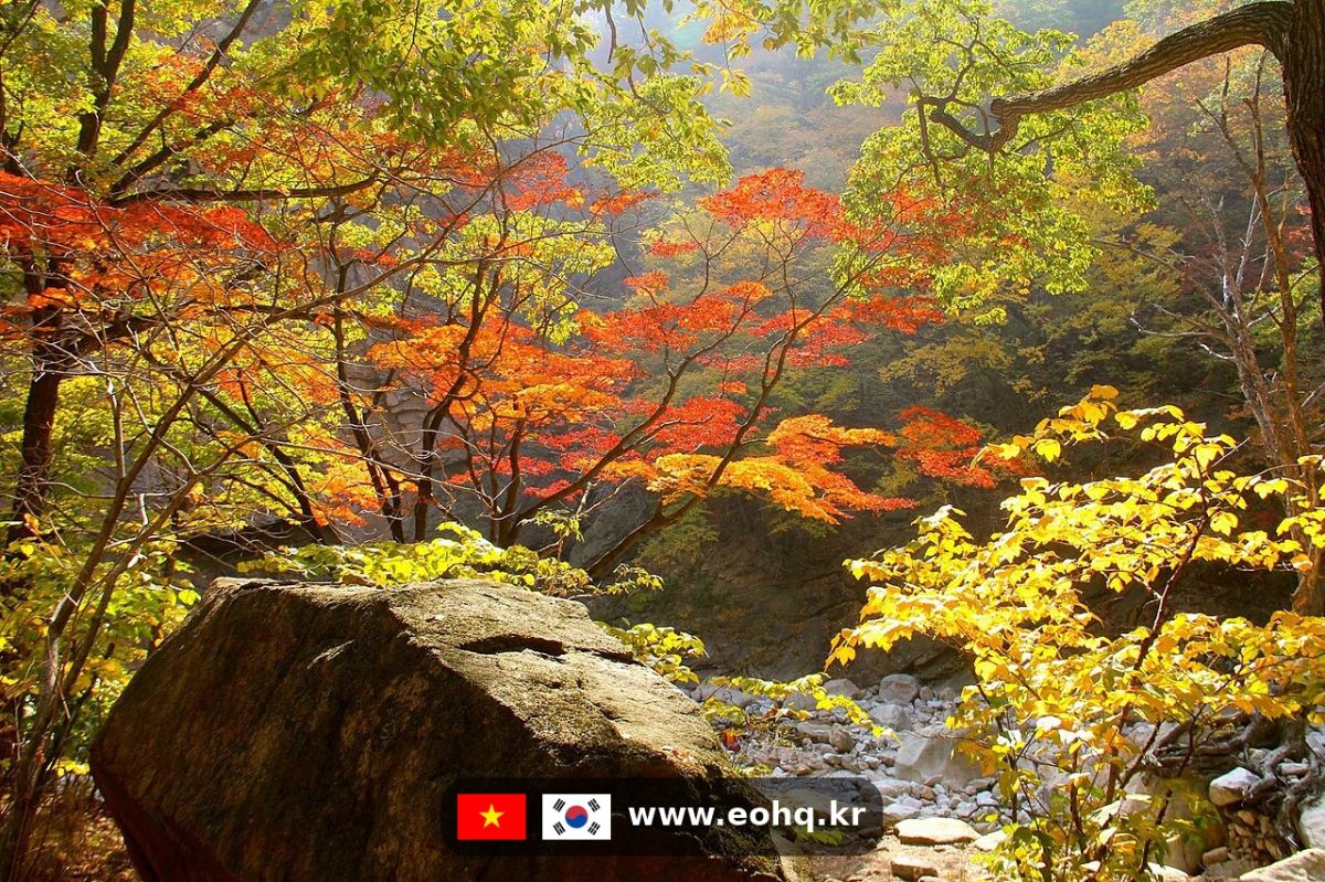 seoraksan-fall-2026_wm.jpg
