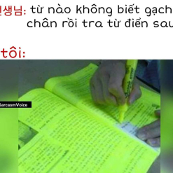 Khi giáo viên bảo từ nào k biết thì gạch chân