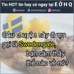 Người Việt Nam có văn hóa hậu đãi khách sẽ không thể hiểu nổi được văn hóa của Thụy Điển.
