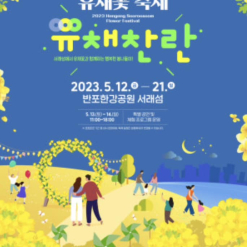 2023 Han River Seorae Island Canola Flower Festival