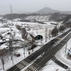 Hàn Quốc tuyết rơi.....