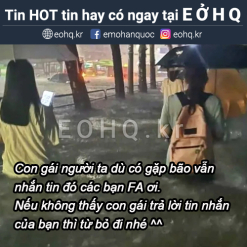 Con gái người ta dù có gặp bão vẫn nhắn tin đó các bạn FA ơi.