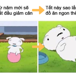 Từ năm mới sẽ bắt đầu giảm cân