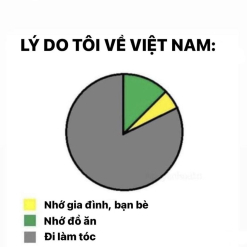 LY DO TÔI VỀ VIỆT NAM