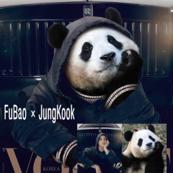 Khi idol Fubao mix với Jungkook rồi lên luôn bìa VOGUE: